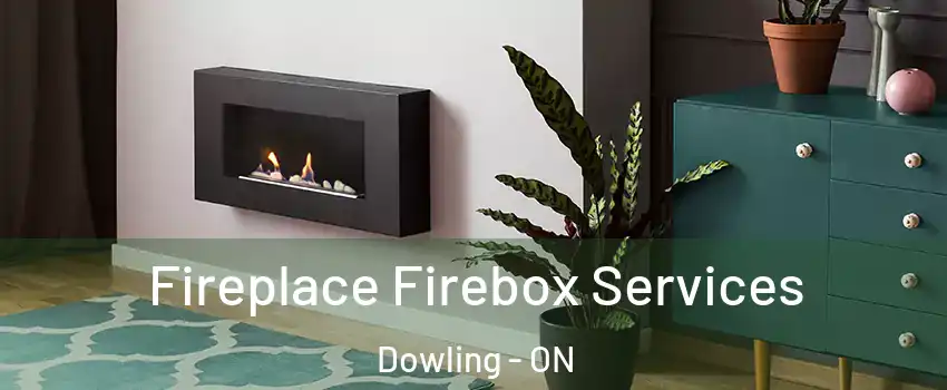  Fireplace Firebox Services Dowling - ON