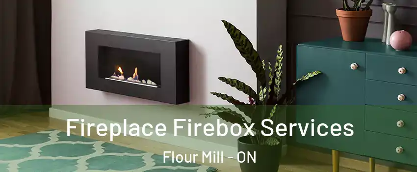  Fireplace Firebox Services Flour Mill - ON