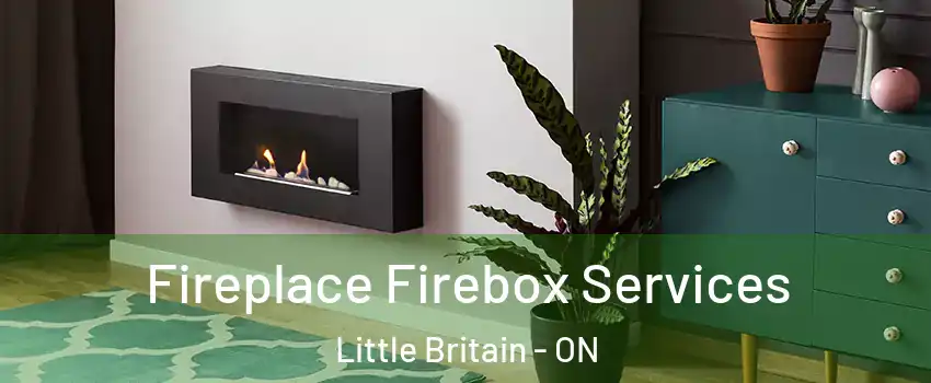  Fireplace Firebox Services Little Britain - ON