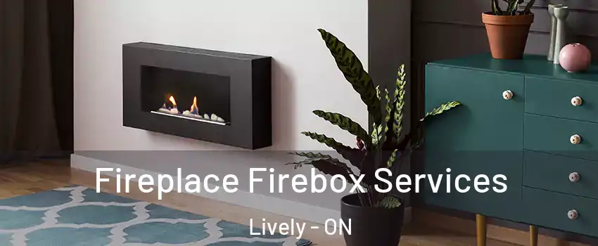  Fireplace Firebox Services Lively - ON