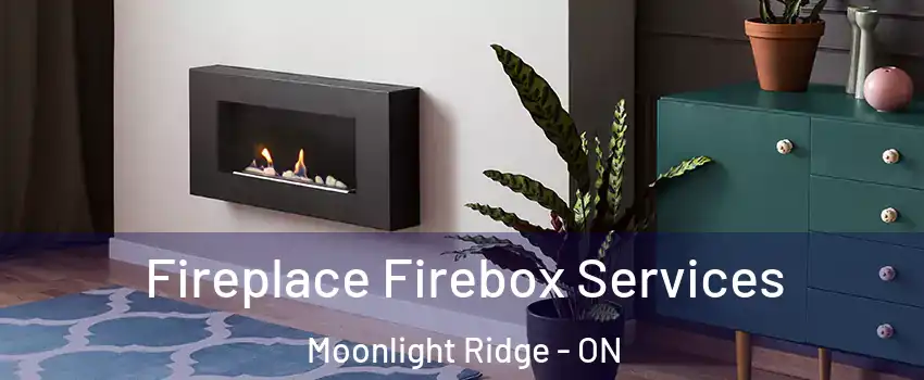  Fireplace Firebox Services Moonlight Ridge - ON