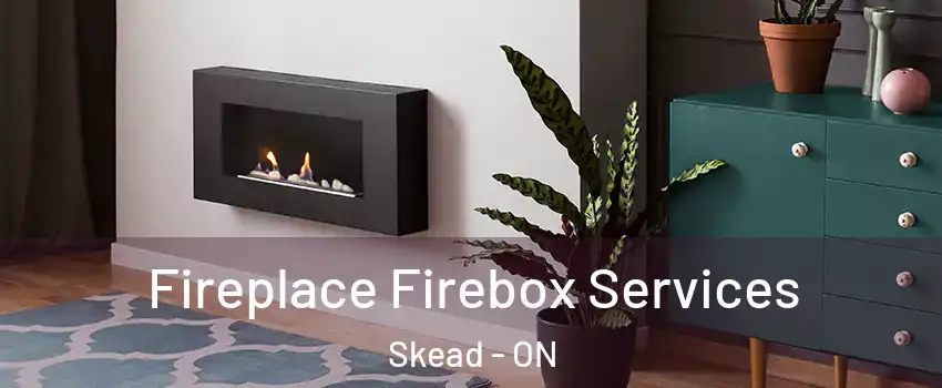  Fireplace Firebox Services Skead - ON