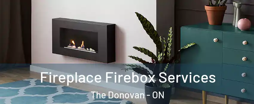  Fireplace Firebox Services The Donovan - ON
