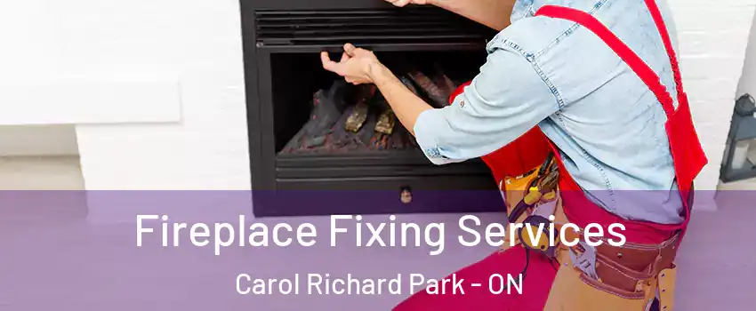  Fireplace Fixing Services Carol Richard Park - ON