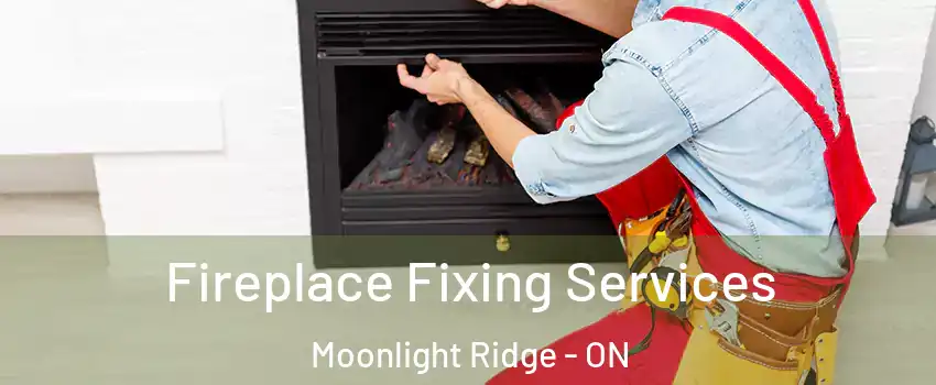  Fireplace Fixing Services Moonlight Ridge - ON