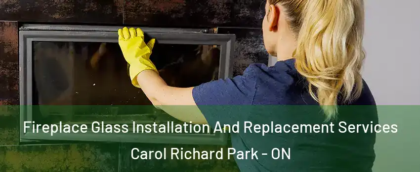  Fireplace Glass Installation And Replacement Services Carol Richard Park - ON