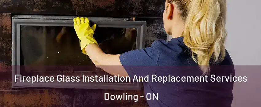  Fireplace Glass Installation And Replacement Services Dowling - ON