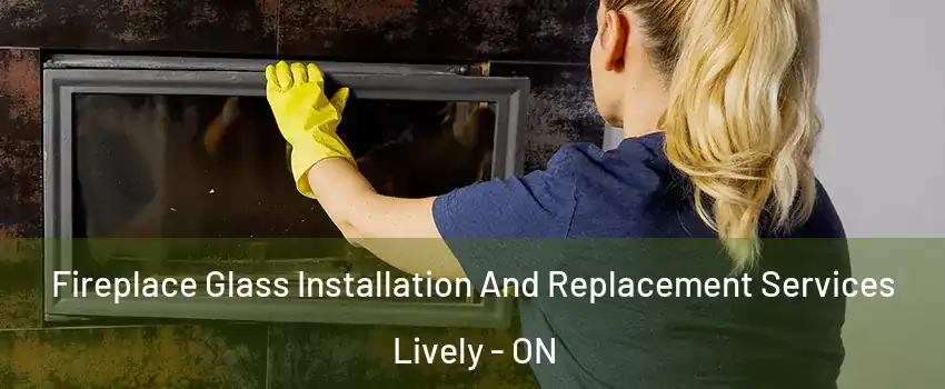  Fireplace Glass Installation And Replacement Services Lively - ON