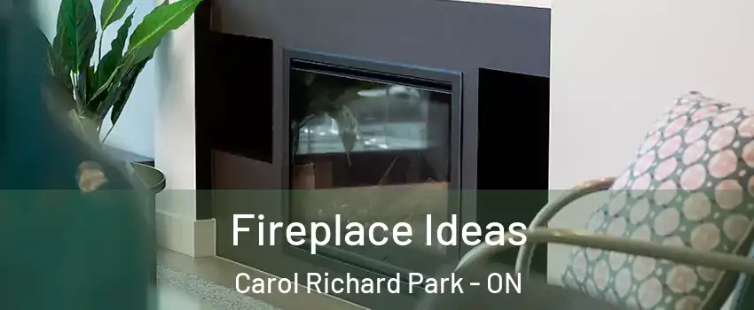 Fireplace Ideas Carol Richard Park - ON