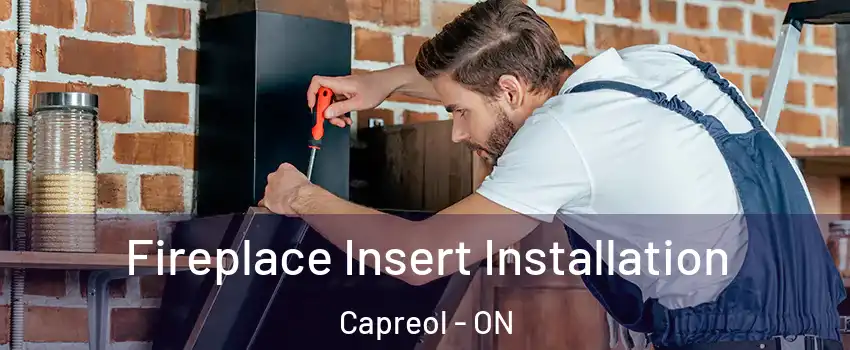  Fireplace Insert Installation Capreol - ON