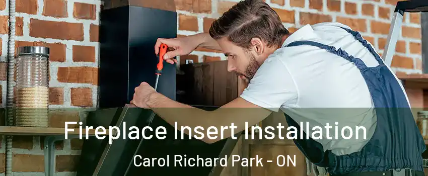  Fireplace Insert Installation Carol Richard Park - ON