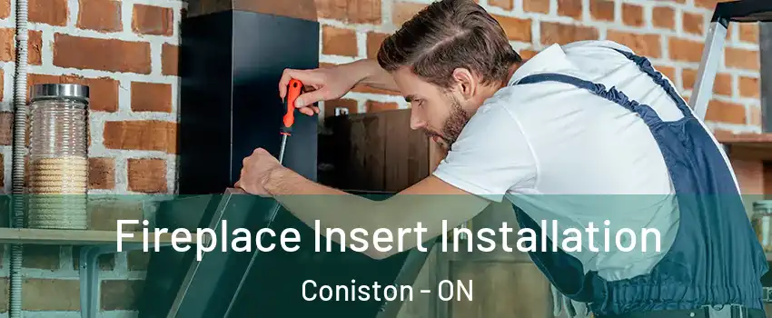  Fireplace Insert Installation Coniston - ON