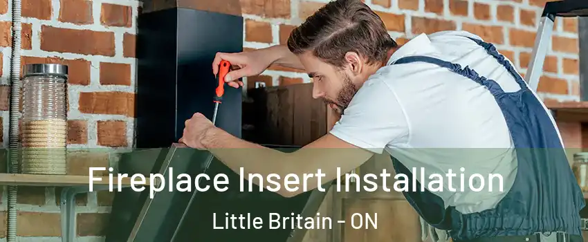  Fireplace Insert Installation Little Britain - ON
