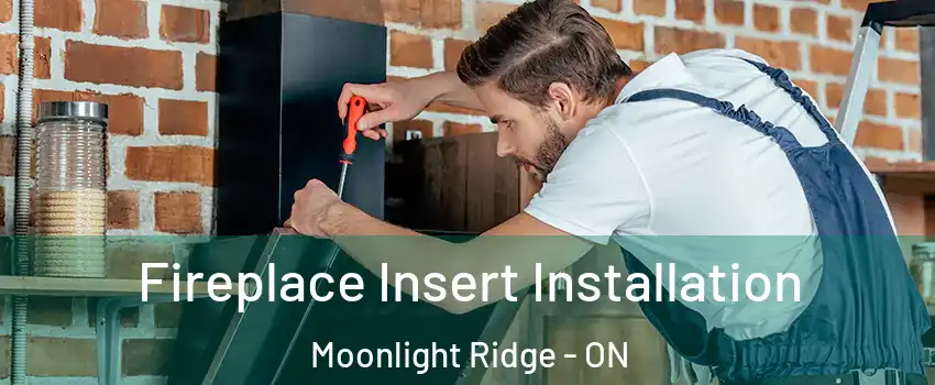  Fireplace Insert Installation Moonlight Ridge - ON