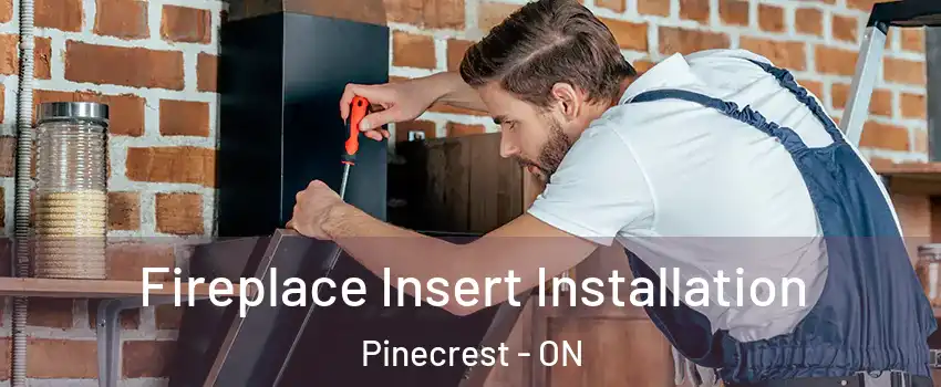  Fireplace Insert Installation Pinecrest - ON