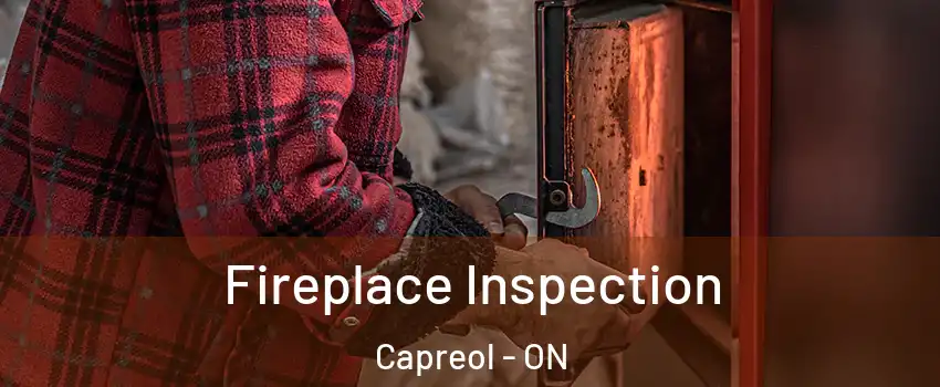  Fireplace Inspection Capreol - ON