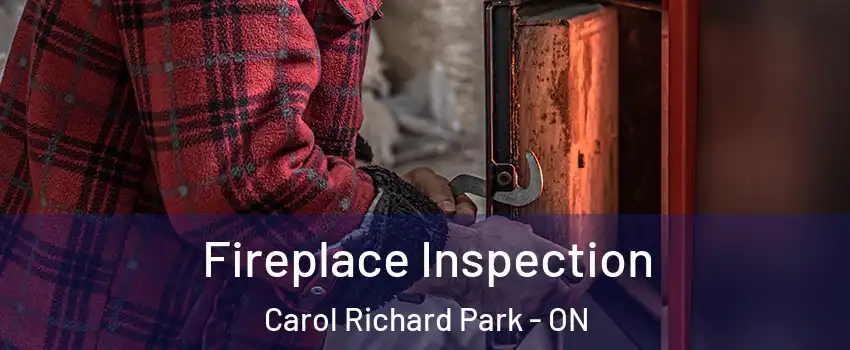  Fireplace Inspection Carol Richard Park - ON