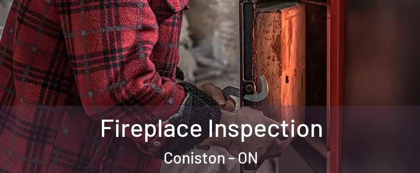  Fireplace Inspection Coniston - ON