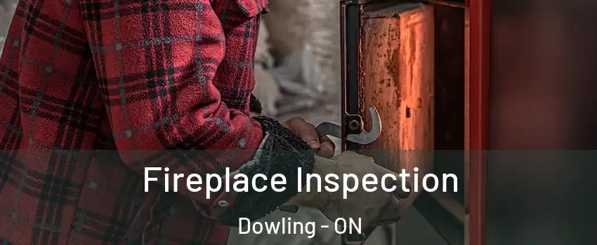  Fireplace Inspection Dowling - ON