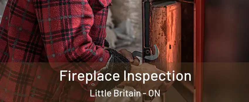  Fireplace Inspection Little Britain - ON