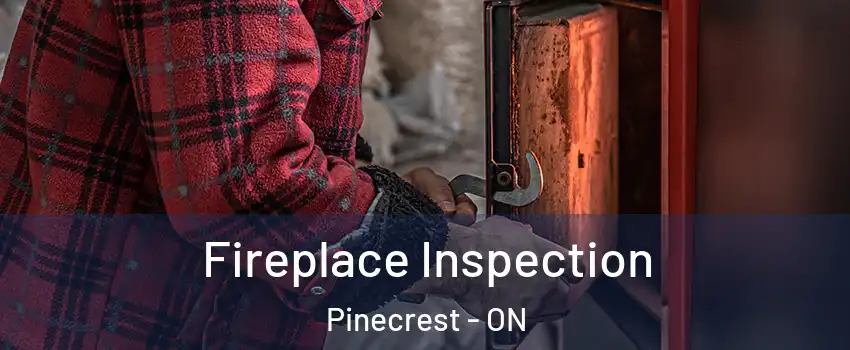  Fireplace Inspection Pinecrest - ON