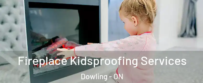  Fireplace Kidsproofing Services Dowling - ON