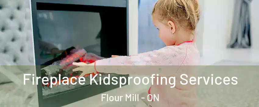  Fireplace Kidsproofing Services Flour Mill - ON