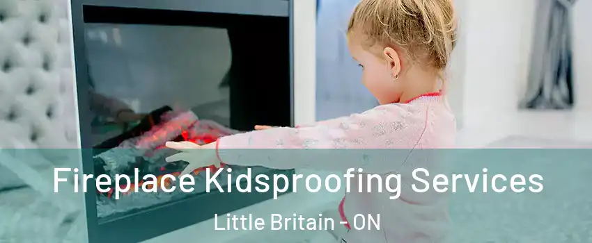  Fireplace Kidsproofing Services Little Britain - ON