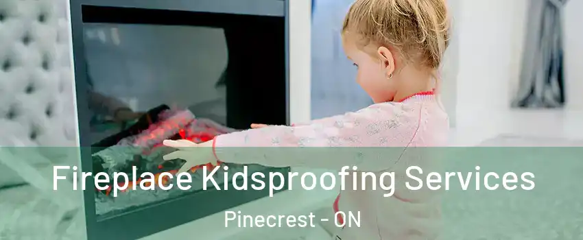  Fireplace Kidsproofing Services Pinecrest - ON