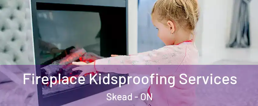 Fireplace Kidsproofing Services Skead - ON