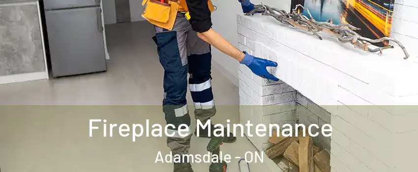  Fireplace Maintenance Adamsdale - ON