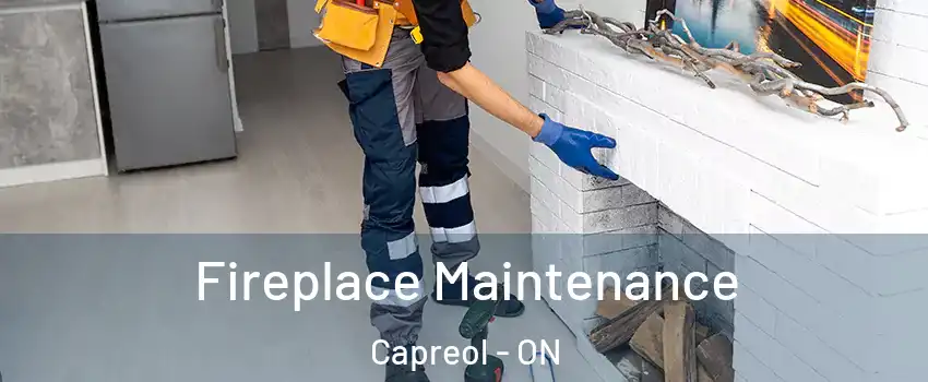  Fireplace Maintenance Capreol - ON