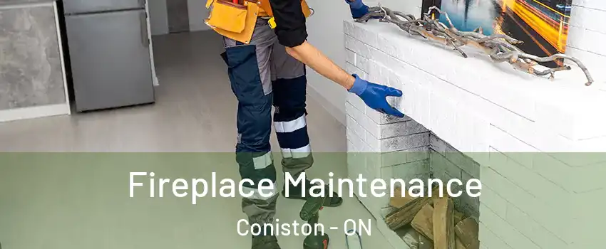  Fireplace Maintenance Coniston - ON