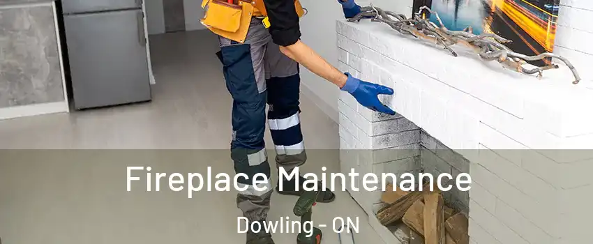  Fireplace Maintenance Dowling - ON