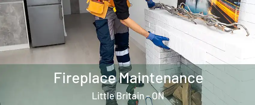  Fireplace Maintenance Little Britain - ON