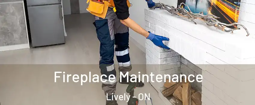  Fireplace Maintenance Lively - ON