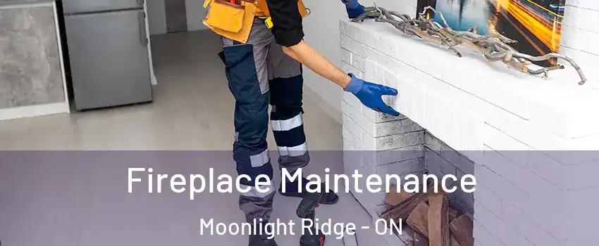  Fireplace Maintenance Moonlight Ridge - ON