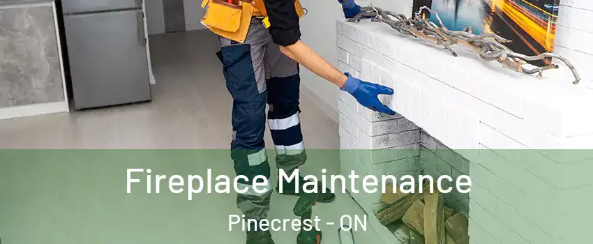  Fireplace Maintenance Pinecrest - ON