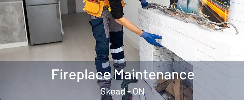  Fireplace Maintenance Skead - ON