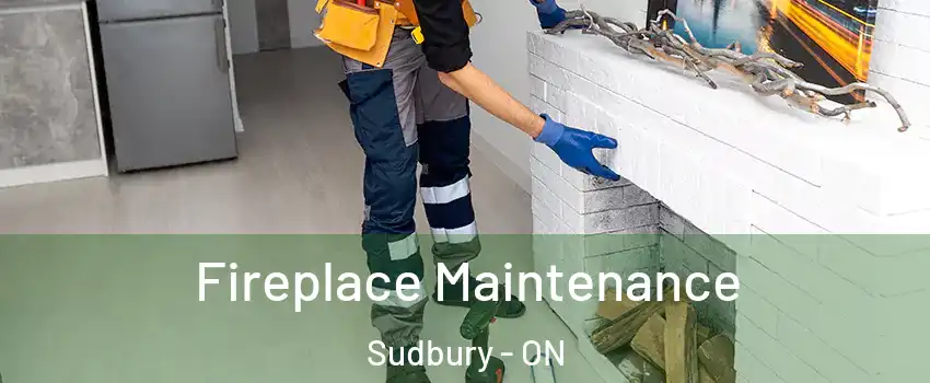  Fireplace Maintenance Sudbury - ON
