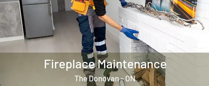  Fireplace Maintenance The Donovan - ON
