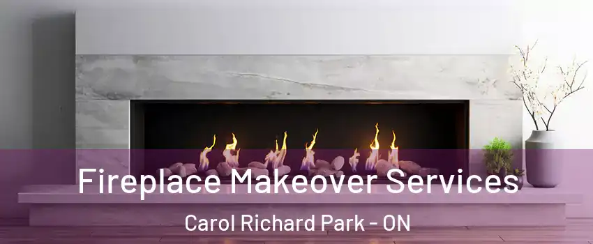 Fireplace Makeover Services Carol Richard Park - ON