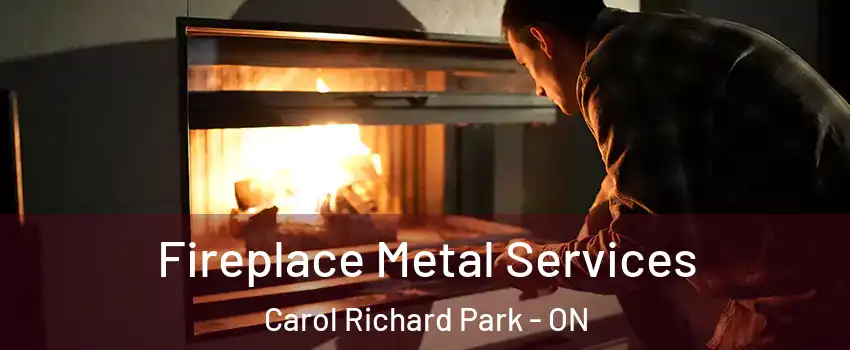 Fireplace Metal Services Carol Richard Park - ON