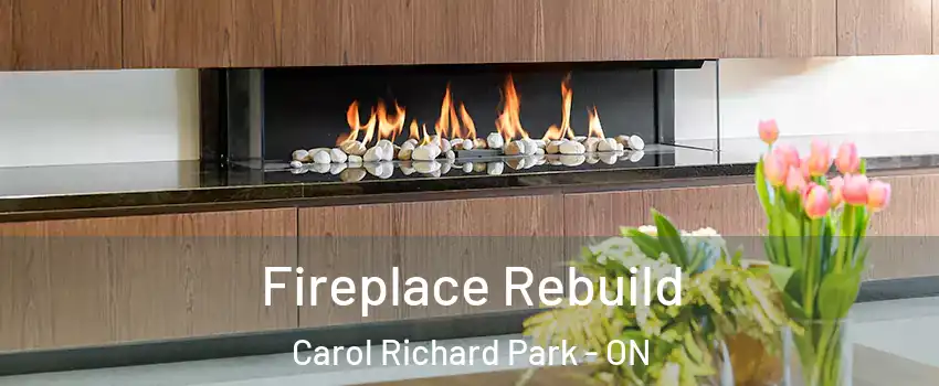  Fireplace Rebuild Carol Richard Park - ON