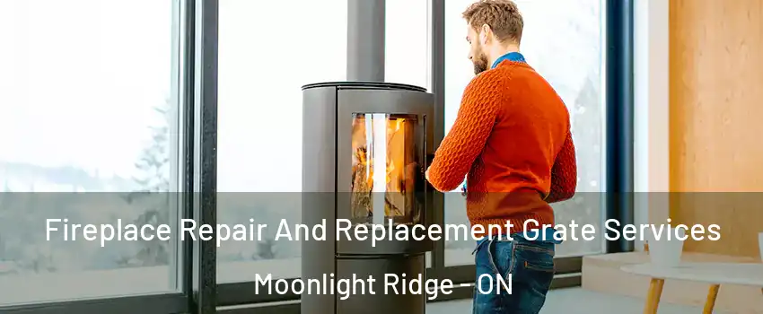  Fireplace Repair And Replacement Grate Services Moonlight Ridge - ON