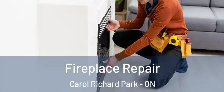  Fireplace Repair Carol Richard Park - ON
