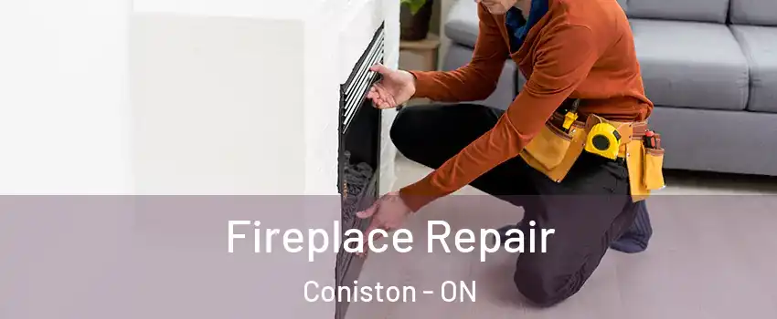  Fireplace Repair Coniston - ON