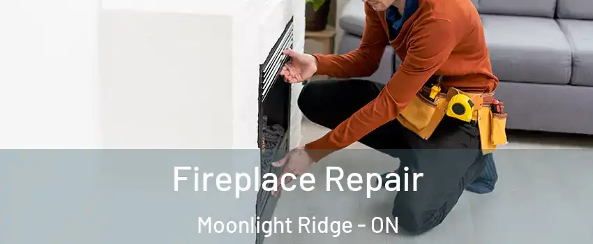  Fireplace Repair Moonlight Ridge - ON