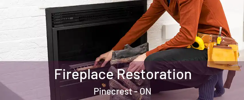  Fireplace Restoration Pinecrest - ON
