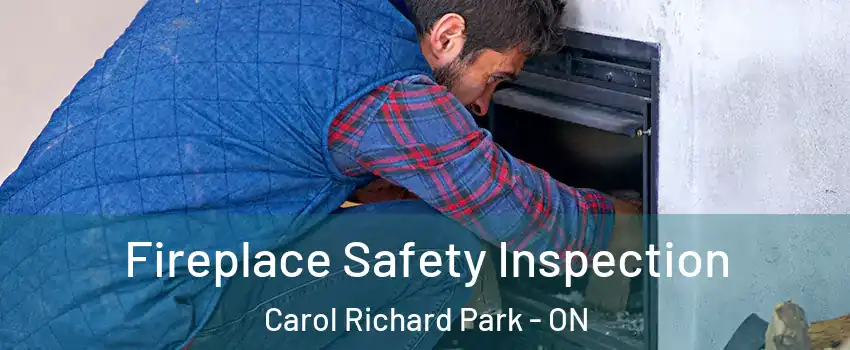 Fireplace Safety Inspection Carol Richard Park - ON